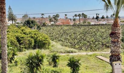 Revente - Apartment - Ciudad Quesada - Ciudad Quesada - Doña Pepa