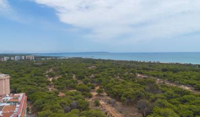 Revente - Apartment - Guardamar del Segura - CENTRO