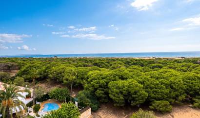 Revente - Apartment - Guardamar del Segura - Lomas de Polo-Pinomar