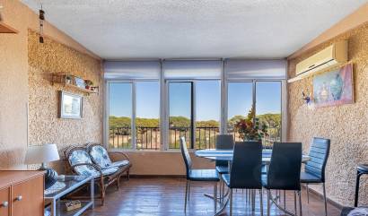 Revente - Apartment - Guardamar del Segura - Urb. pinomar