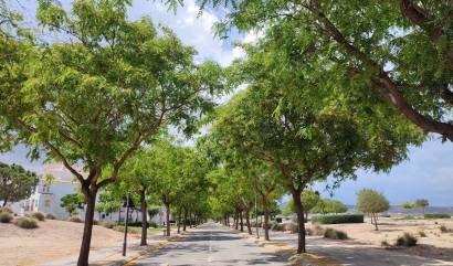 Revente - Apartment - Hacienda Riquelme Golf Resort