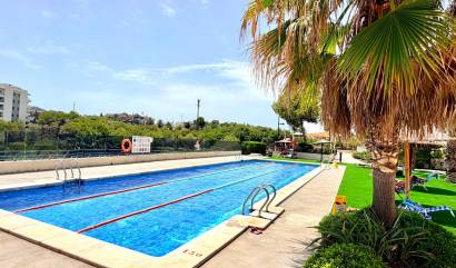 Revente - Apartment - Orihuela Costa - La Zenia