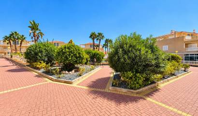 Revente - Apartment - Orihuela Costa - Punta Prima