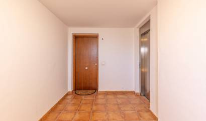 Revente - Apartment - Punta Prima - La Recoleta