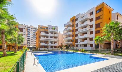 Revente - Apartment - Punta Prima - La Recoleta