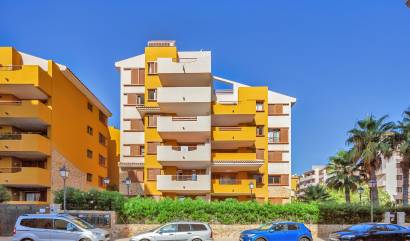 Revente - Apartment - Punta Prima - La Recoleta