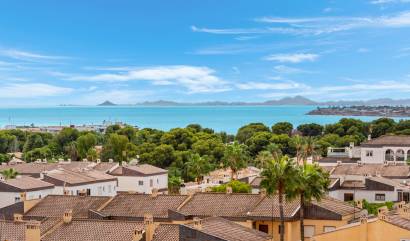 Revente - Apartment - Punta Prima