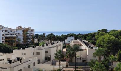Revente - Apartment - Punta Prima