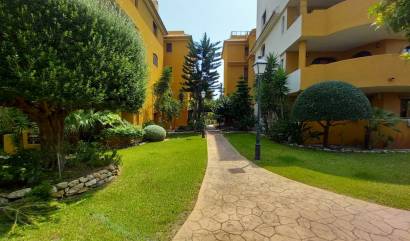 Revente - Apartment - Punta Prima