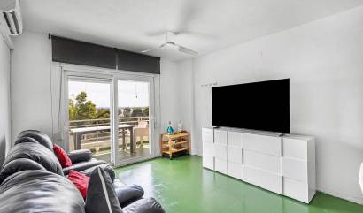 Revente - Apartment - Torrevieja - Acequion