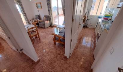 Revente - Apartment - Torrevieja Centro