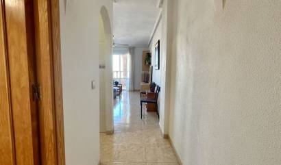 Revente - Apartment - Torrevieja - El Molino