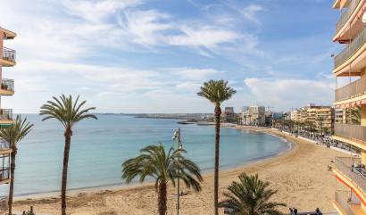 Revente - Apartment - Torrevieja - Estacion de autobuses