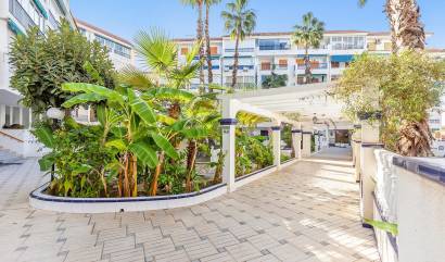 Revente - Apartment - Torrevieja - Los Europeos