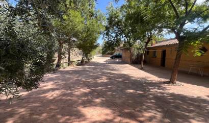 Revente - Commercial - Abanilla