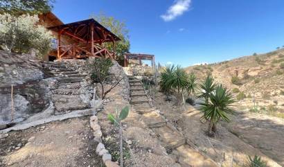 Revente - Commercial - Abanilla