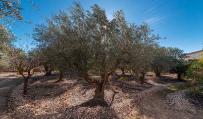 Revente - Country House - Albatera