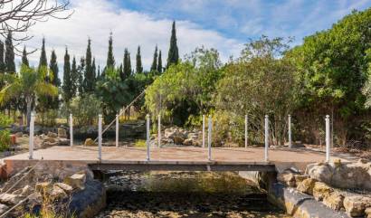 Revente - Country House - Catral