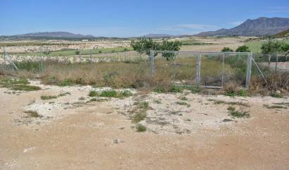 Revente - Country House - Jumilla