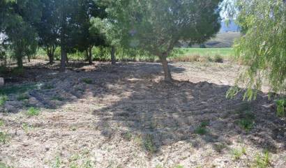 Revente - Country House - Jumilla