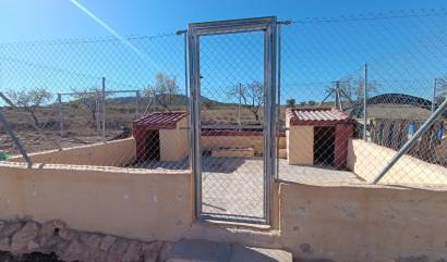 Revente - Country House - Jumilla