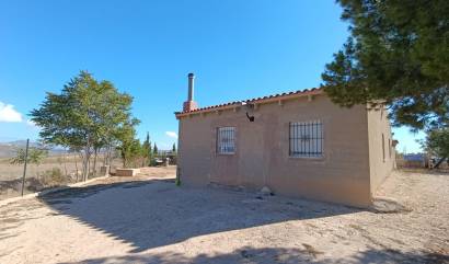 Revente - Country House - Jumilla