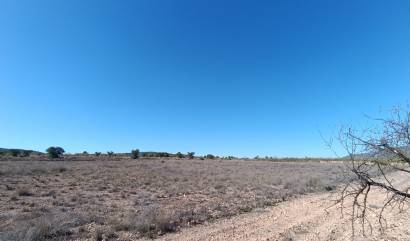 Revente - Country House - Jumilla