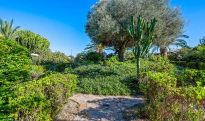 Revente - Country House - Los Montesinos