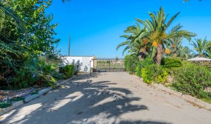 Revente - Country House - Los Montesinos