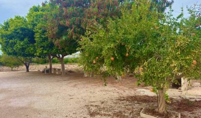 Revente - Country House - Rojales - Ciudad Quesada