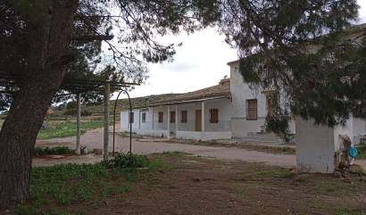 Revente - Country House - Yecla