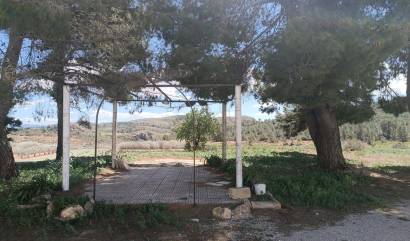 Revente - Country House - Yecla
