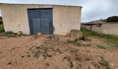 Revente - Country House - Yecla