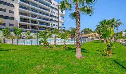 Revente -  - Dehesa De Campoamor - Dehesa de campoamor