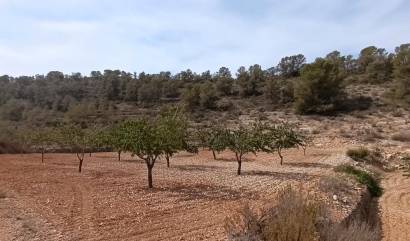 Revente - Land - Abanilla