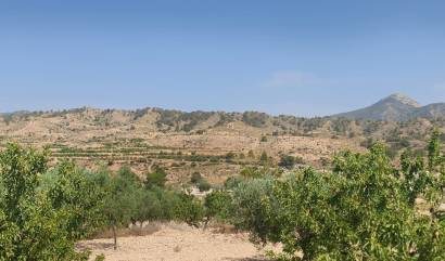 Revente - Land - Abanilla