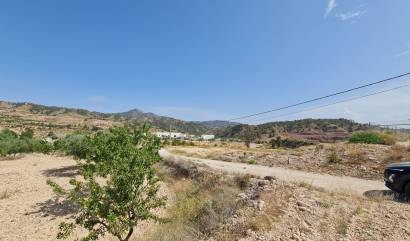 Revente - Land - Abanilla