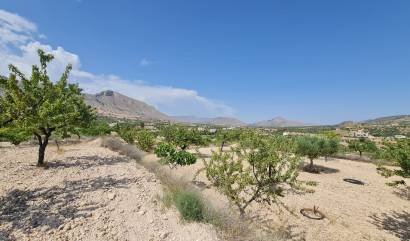 Revente - Land - Abanilla