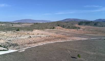 Revente - Land - Canada del Trigo