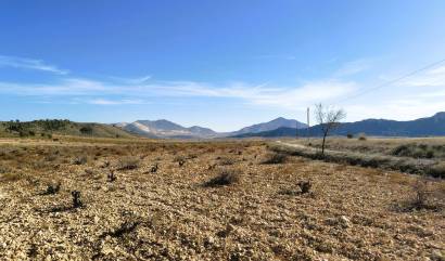 Revente - Land - Canada del Trigo