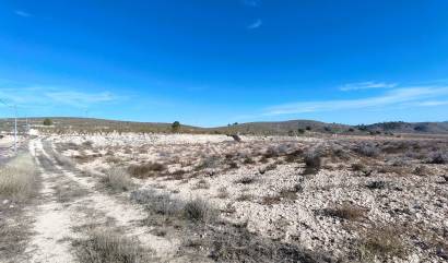 Revente - Land - Canada del Trigo