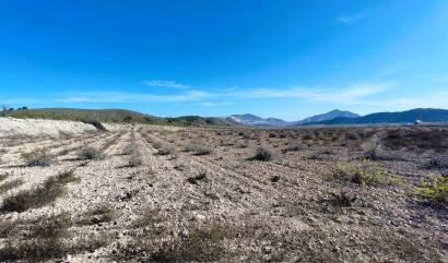 Revente - Land - Canada del Trigo
