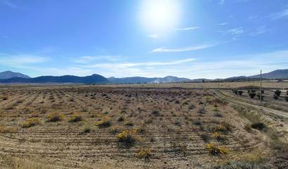 Revente - Land - Canada del Trigo