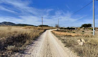 Revente - Land - Canada del Trigo