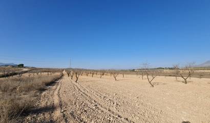 Revente - Land - Jumilla