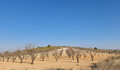 Revente - Land - Jumilla