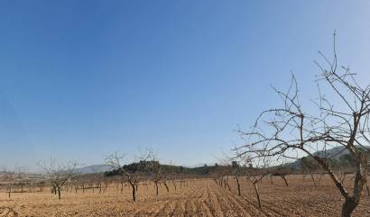 Revente - Land - Jumilla