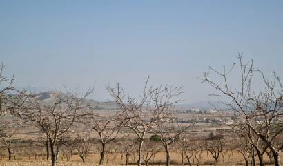 Revente - Land - Jumilla