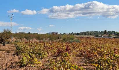 Revente - Land - La Romana