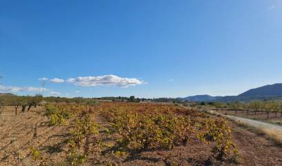 Revente - Land - La Romana